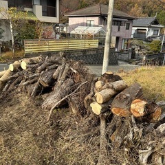 丸太無料🪵0円　薪などにいかがですかの画像