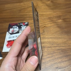 【新品未開封】CANOPUS（カノウプス） RED LOCK×3点の画像