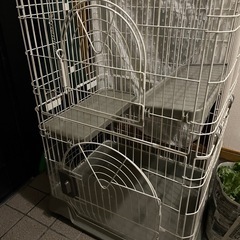 キャットケージの画像