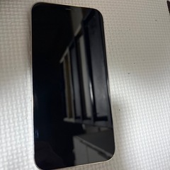 iPhone12 pro maxmaxの画像