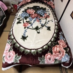 中古のブランケット2枚になります、の画像