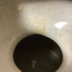 沖縄　カラカラ　赤絵　やむちん　徳利　蕎麦つゆ　つゆ　酒器　酒の画像