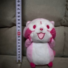 大幅再値下‼️アクリルカップとぬいぐるみセットの画像