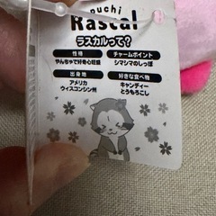 大幅再値下‼️アクリルカップとぬいぐるみセットの画像