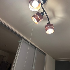 シーリングライトの画像