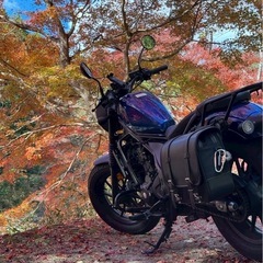 【ゆる募】11/28(金)ツーリング希望🏍️✨