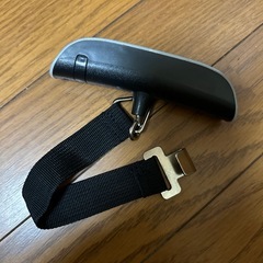 デジタル計測器 荷物スケール 手荷物や握力に 電池内蔵 50kgまでの画像