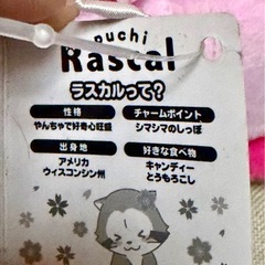 値下‼️タグ付き未使用 ラスカル ぬいぐるみ  訳ありの画像