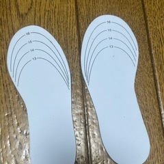 靴の下敷き
の画像