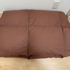 ダブルベット用フェザー掛け布団
の画像