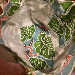 ハワイアンバックの画像