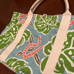 ハワイアンバックの画像