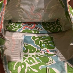 ハワイアンバックの画像