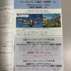 ★近鉄　株主様乗車券２枚  大阪から名古屋まで往復OK　株主様ご優待券 近鉄関係のいろいろご優待券在中の画像
