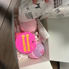 【未使用】LUSH  入浴剤の画像