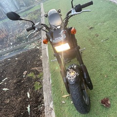 ストリートマジックの画像