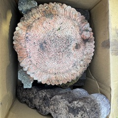 色々レンガ•ブロックあります‼️無くなり次第終了します❗️の画像