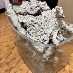 海水魚ライブロック 古代珊瑚化石 サンゴ　11kg前後の画像