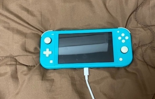 switchライト本体のみ