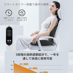 電気座布団❣️ホットマット 腰クッション 一体型 ランバーサポートクッションの画像