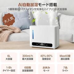加湿器❣️大容量 6L ダブル吹出口 加熱式 卓上加湿器 超音波式 上から給水の画像