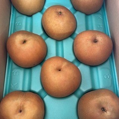 梨　にっこり　5kg の画像