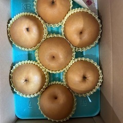 梨　にっこり　5kg の画像