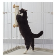 猫ゲージ、トイレ、爪研ぎの画像