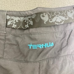 TERNUA グレー ショートパンツの画像