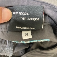 TERNUA グレー ショートパンツの画像