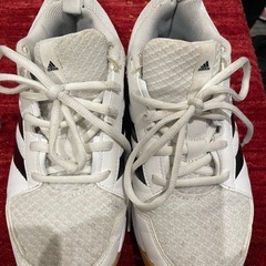 adidas 体育館シューズ 23cm　白×黒ラインの画像