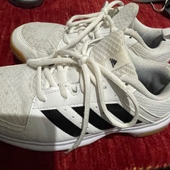 adidas 体育館シューズ 23cm　白×黒ラインの画像