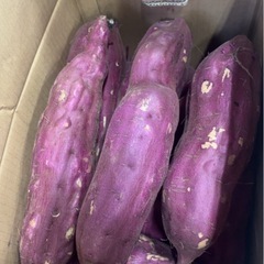 さつまいも　シルクスイートの画像