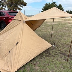 バンドッグ　ソロティピー1 TCの画像