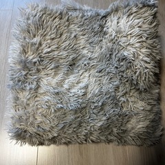 カーペットの画像