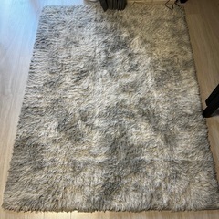 カーペットの画像