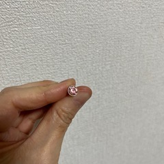 ボディピアス　恐らく　ゲージ不明の画像