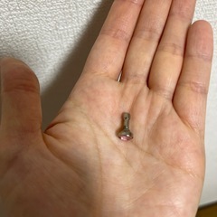 ボディピアス　恐らく　ゲージ不明の画像