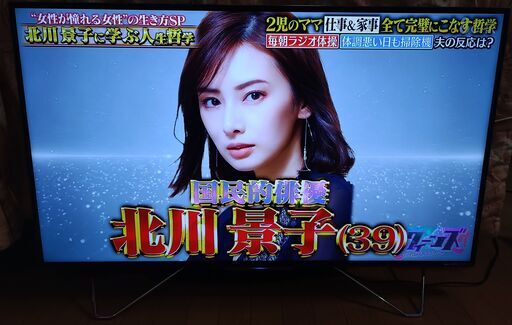 無料配送 HDD内蔵 録画機能付き 2018年 49V型 FUNAI/フナイ4K FL