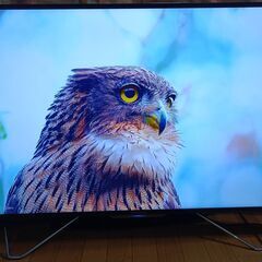 無料配送 HDD内蔵 録画機能付き 2018年 49V型 FUNAI/フナイ4K  FL-49U4110 倍速駆動 HDR10 Youtube 多機能リモコン付き(775）の画像