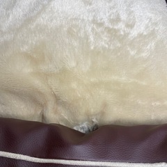 ペットベッドの画像