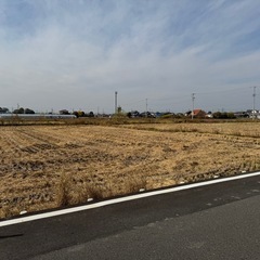 玄米 小分け　精米可 令和7年産 新米 あいちのかおりの画像