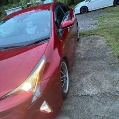 50プリウス前期の画像