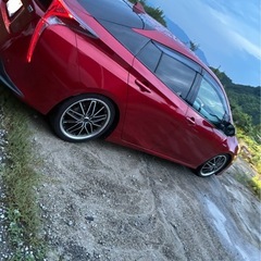 50プリウス前期の画像