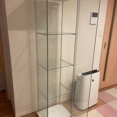 IKEA　コレクションケース　ガラス棚の画像