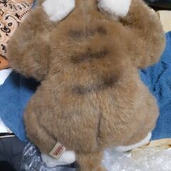 ブランドねこちゃん？のぬいぐるみと置物セット！の画像