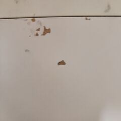 IKEA(廃盤)EXPEDITの画像