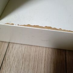 IKEA(廃盤)EXPEDITの画像