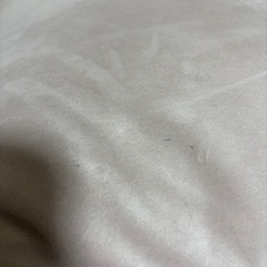 Francfranc カラン フロアチェア ハイバック ピンクの画像