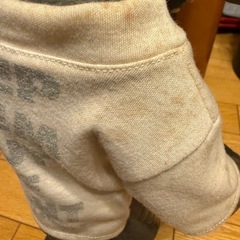 グレムリン　19インチ　ジュンプランニング限定
の画像